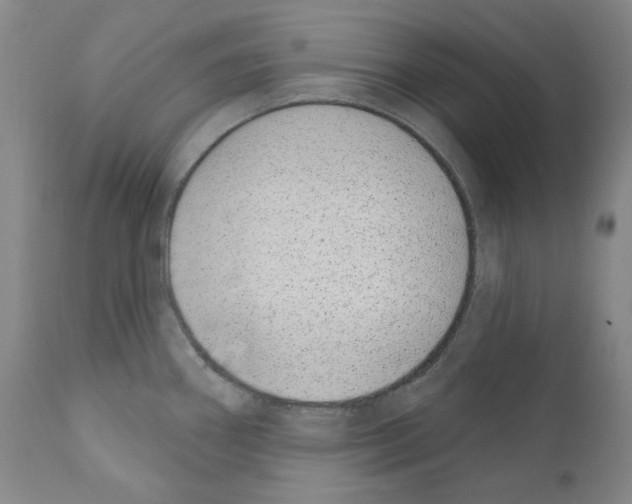 X0000110901290200907301558