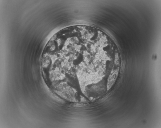 X0000110901291200907301558