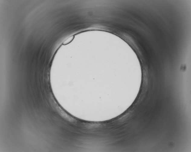 X0000110901292200907301558