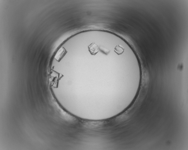 X0000110901294200907301558