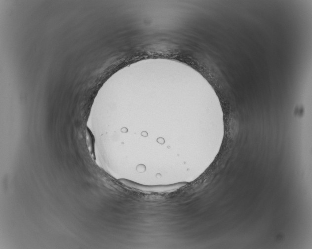 X0000110901297200907301557