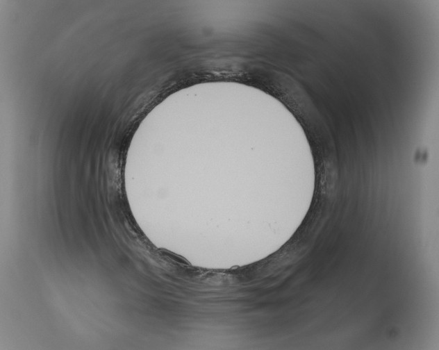 X0000110901298200907301557