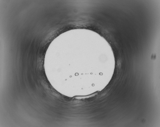 X0000110901300200907301557