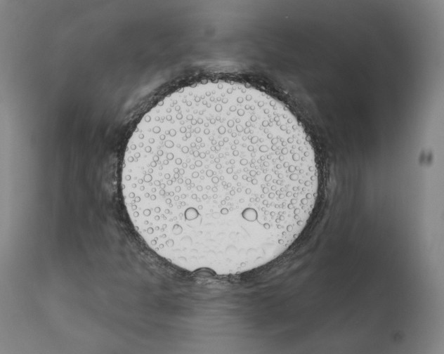 X0000110901301200907301557