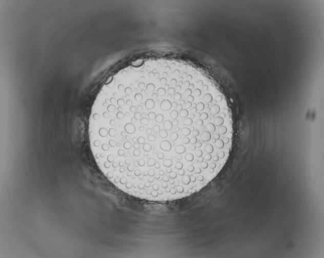 X0000110901302200907301557