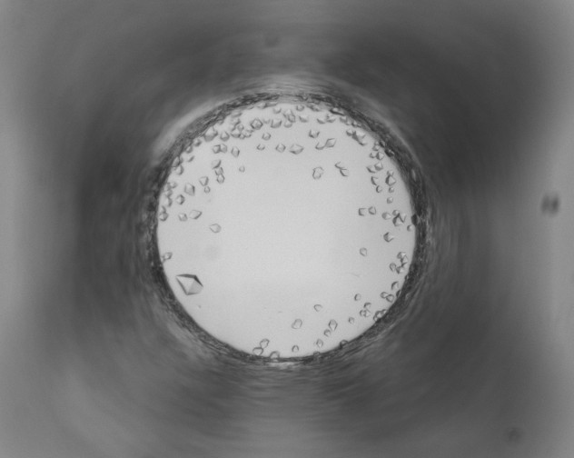 X0000110901304200907301557