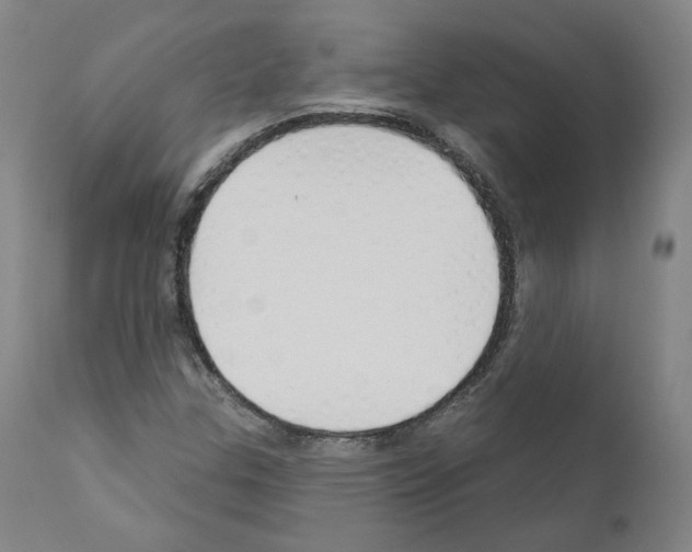 X0000110901307200907301557