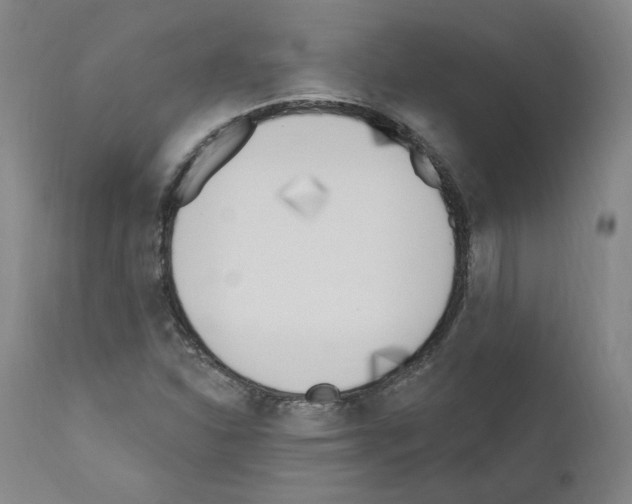 X0000110901310200907301557