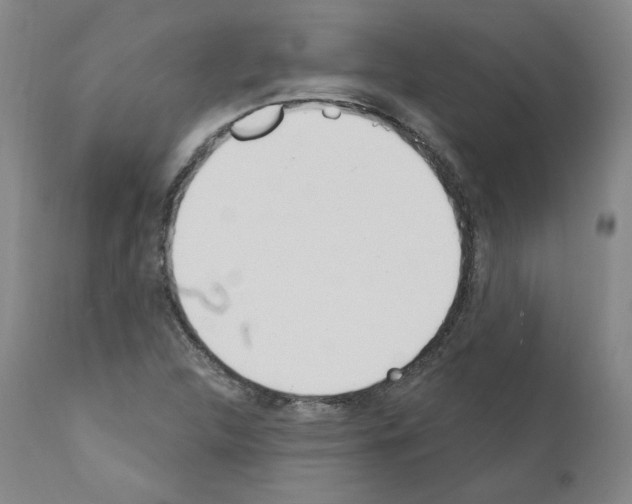 X0000110901312200907301557