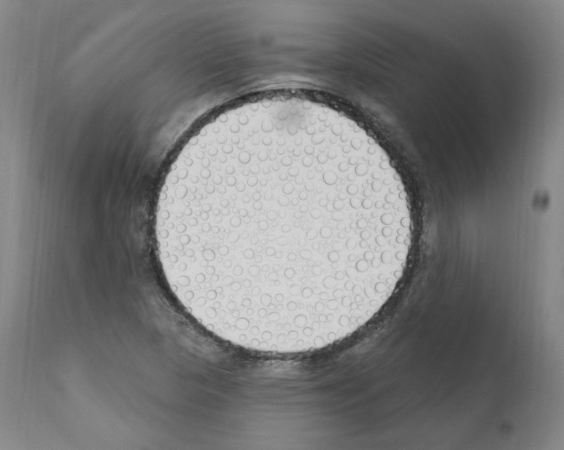 X0000110901313200907301557