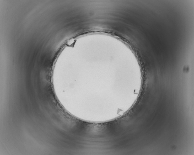 X0000110901314200907301557