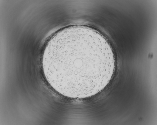 X0000110901315200907301557