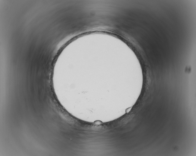 X0000110901316200907301557