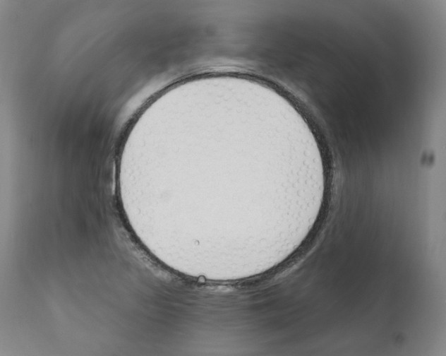 X0000110901317200907301557