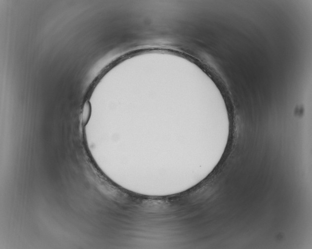 X0000110901320200907301557