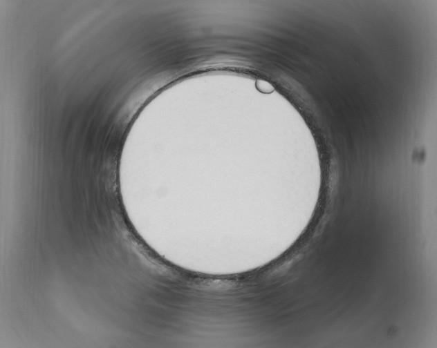 X0000110901321200907301557