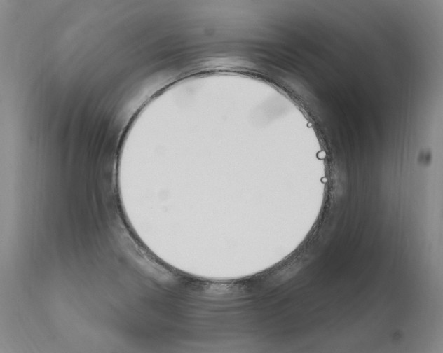 X0000110901322200907301557