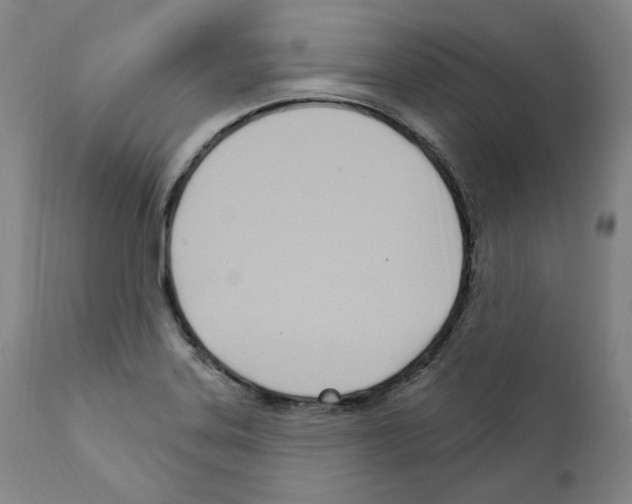 X0000110901323200907301557