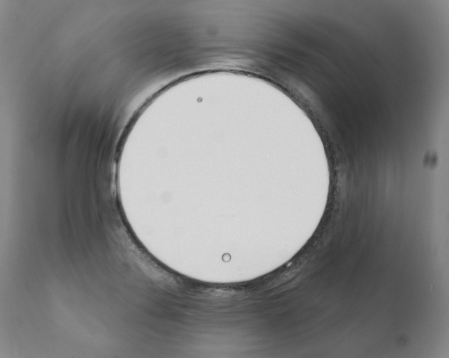 X0000110901324200907301557