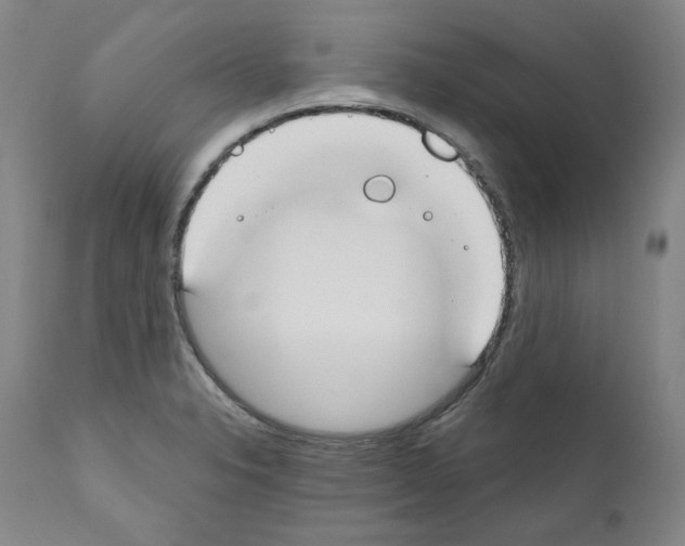 X0000110901326200907301557