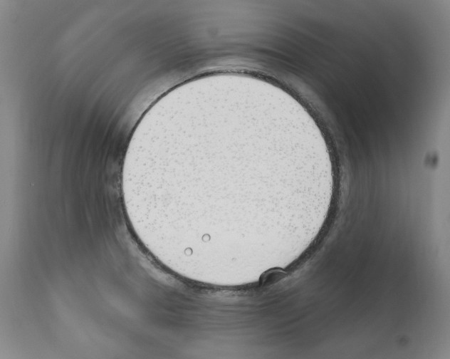 X0000110901329200907301557