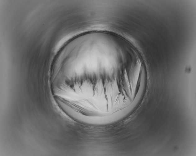 X0000110901334200907301558