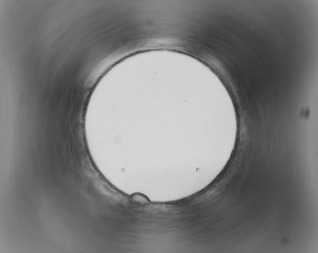 X0000110901336200907301558