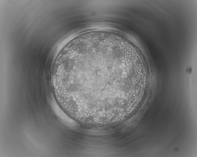 X0000110901338200907301558