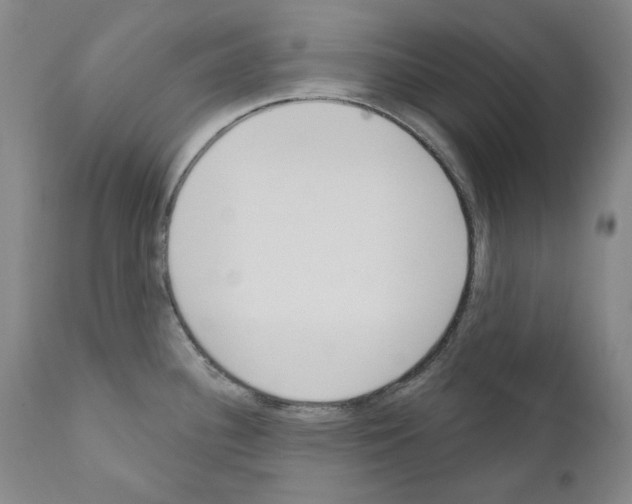 X0000110901340200907301558