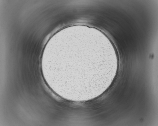 X0000110901341200907301558