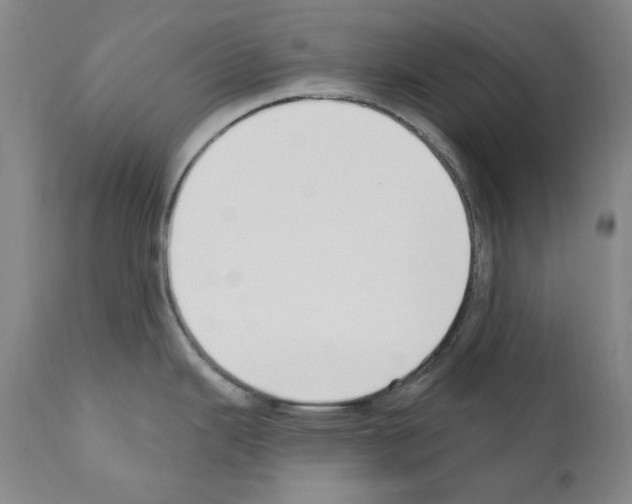 X0000110901343200907301558