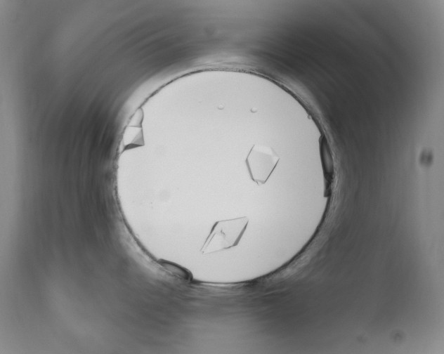 X0000110901344200907301558