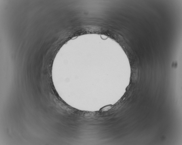 X0000110901345200907301557