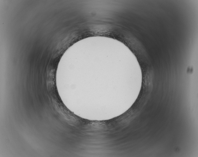 X0000110901346200907301557