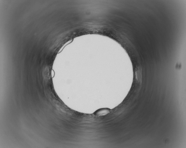 X0000110901347200907301557