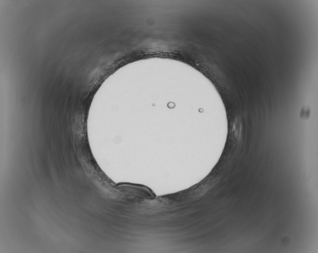 X0000110901348200907301557