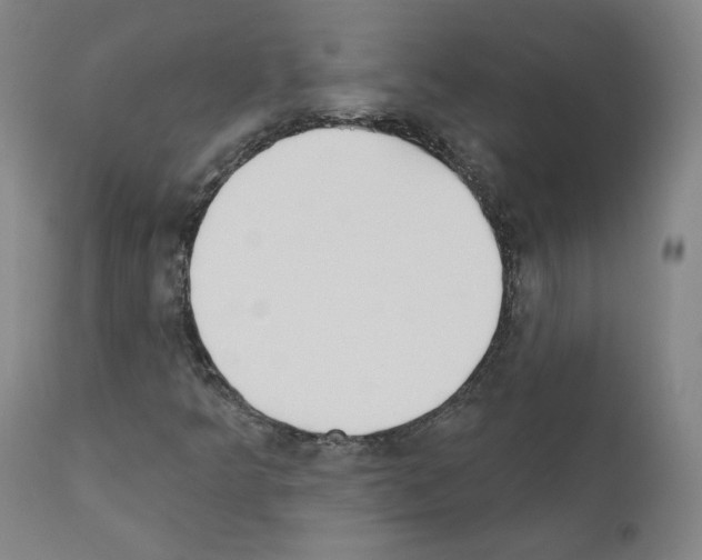 X0000110901349200907301557