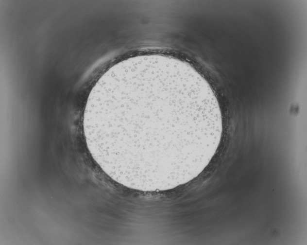 X0000110901351200907301557