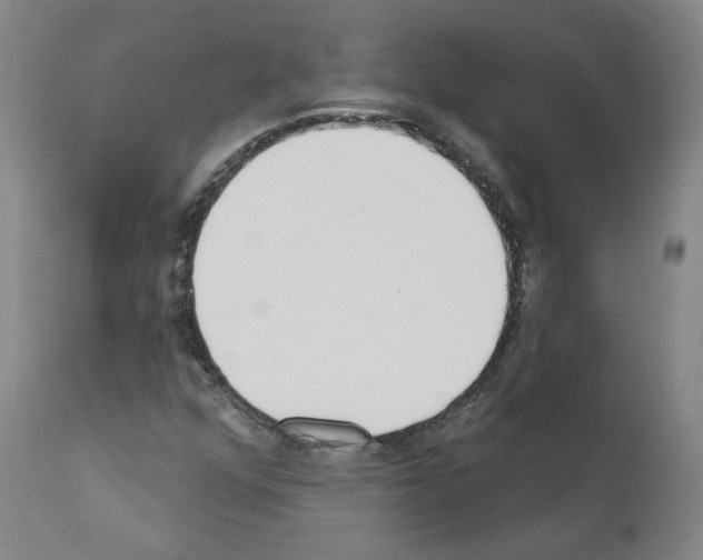 X0000110901352200907301557