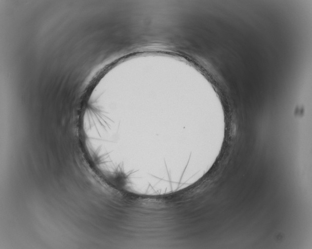 X0000110901356200907301557