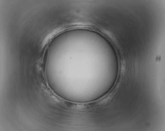 X0000110901357200907301557