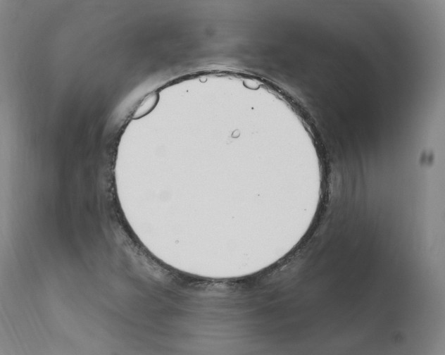 X0000110901359200907301556