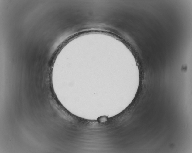 X0000110901360200907301556