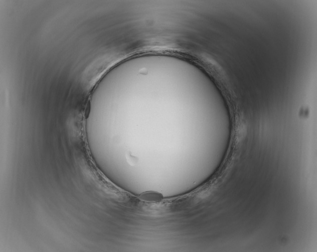 X0000110901361200907301556