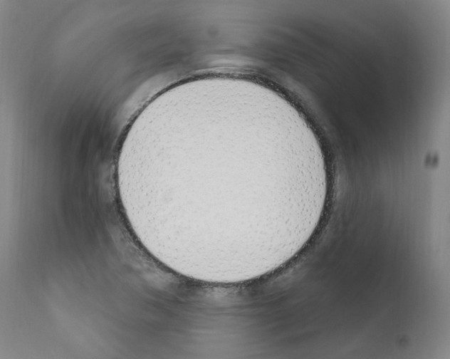 X0000110901362200907301556