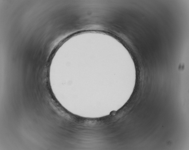 X0000110901364200907301556