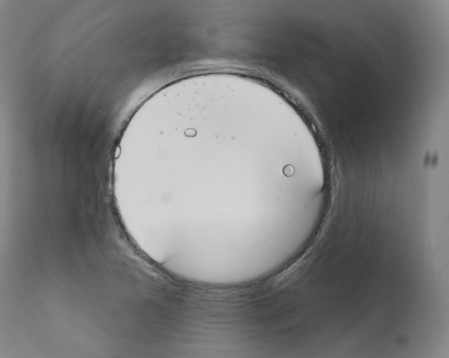 X0000110901365200907301556