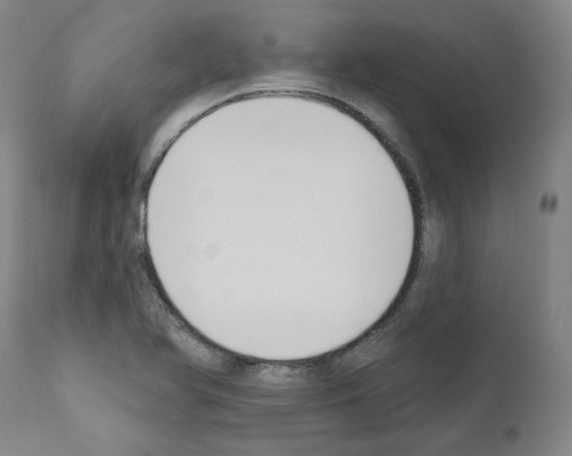 X0000110901366200907301556