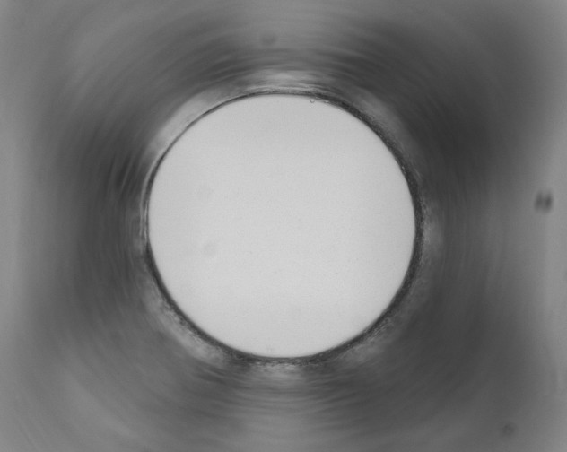 X0000110901370200907301556