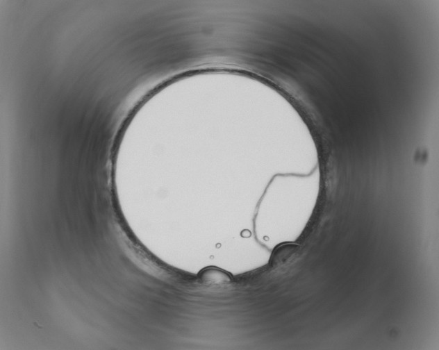 X0000110901372200907301556